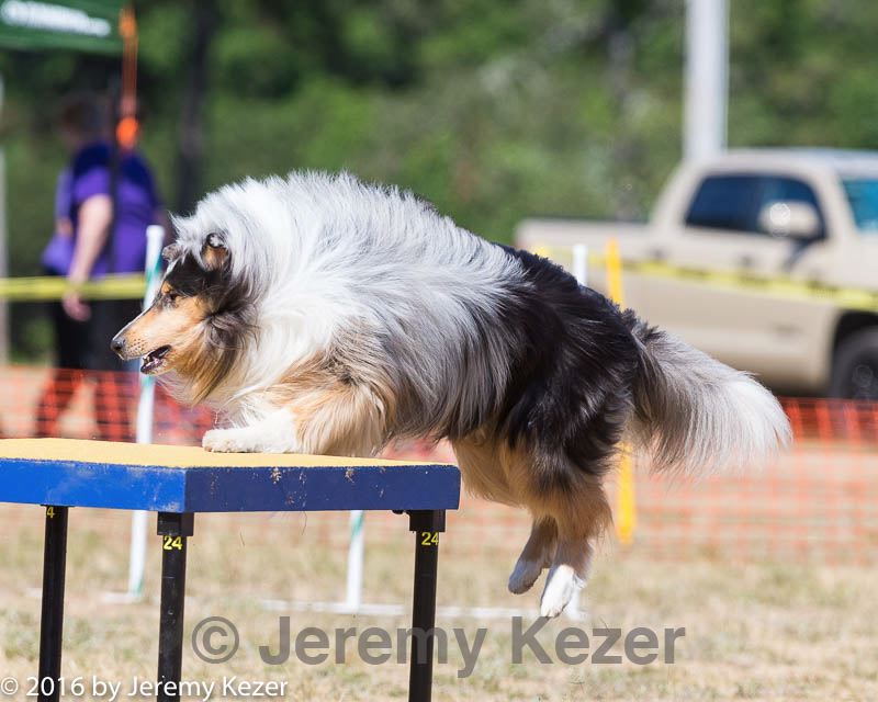 20160619-cckc-1703.jpg