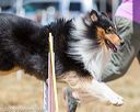 20160619-cckc-1001