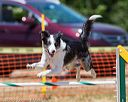 20160619-cckc-1069