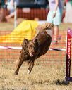20160619-cckc-1782