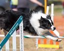 20160619-cckc-1794
