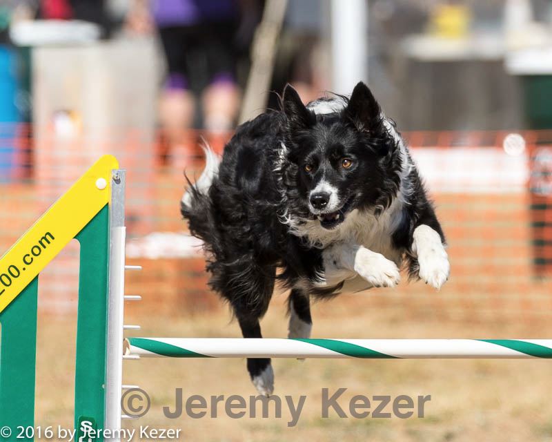 20160619-cckc-1799.jpg