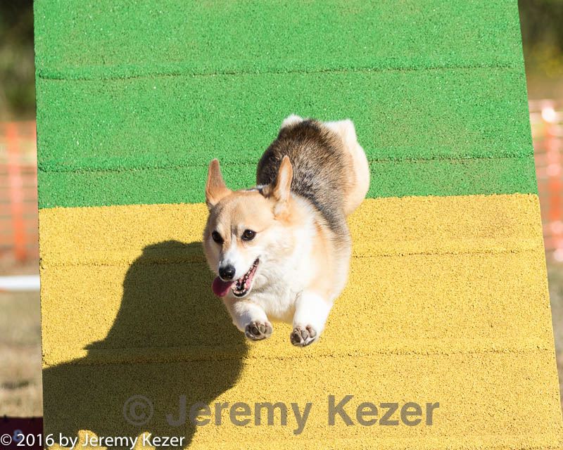 20160619-cckc-0050.jpg