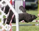 20170520-neat-2774