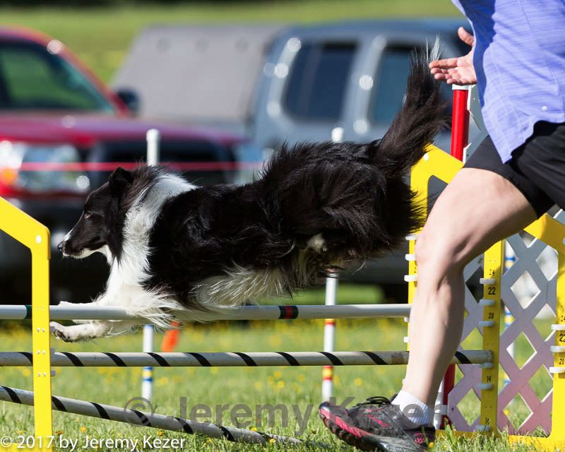 20170520-neat-2788.jpg