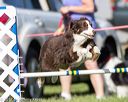 20170520-neat-2811