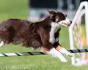 20170520-neat-2820