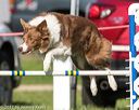 20170520-neat-2832
