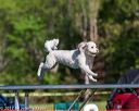 20170520-neat-0251
