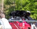 20170520-neat-0397
