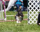 20170520-neat-1522