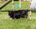 20170520-neat-1524