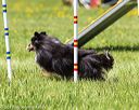 20170520-neat-1527