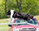 20170520-neat-1532