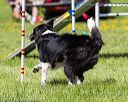 20170520-neat-1546