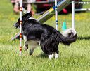 20170520-neat-1547