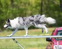 20170520-neat-1551