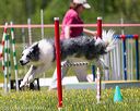 20170520-neat-1556