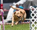 20170520-neat-1559