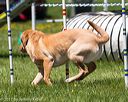 20170520-neat-1563