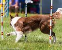 20170520-neat-1625
