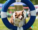 20170520-neat-1628