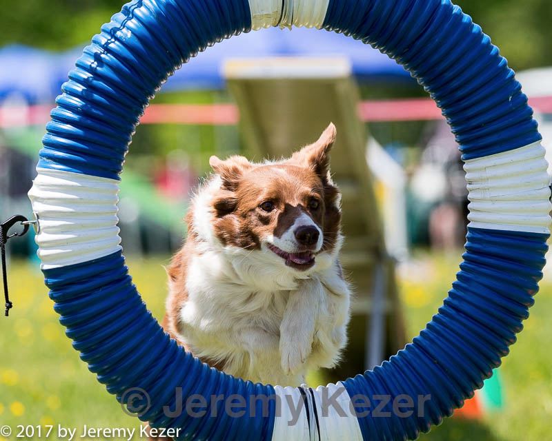 20170520-neat-1627.jpg