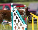 20170520-neat-2668