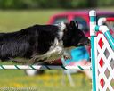 20170520-neat-2676