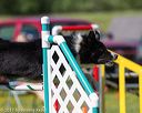 20170520-neat-2677