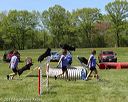 20170520-neatmc-0062