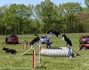 20170520-neatmc-0046