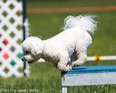 20170520-neat-0968