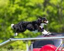 20170520-neat-0976