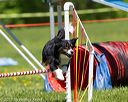 20170520-neat-0979