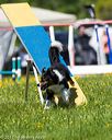 20170520-neat-0987