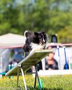 20170520-neat-1001