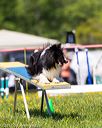 20170520-neat-1003
