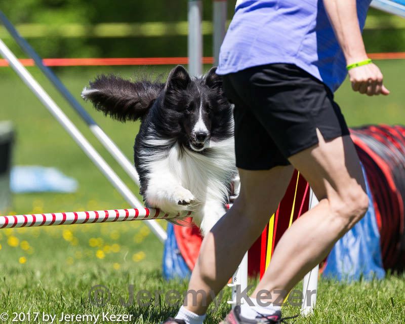 20170520-neat-0993.jpg