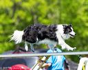 20170520-neat-1030