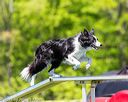 20170520-neat-1051