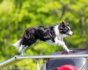 20170520-neat-1052