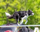 20170520-neat-1054