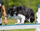 20170520-neat-1060