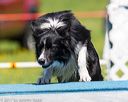 20170520-neat-1077
