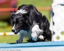 20170520-neat-1078