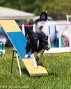 20170520-neat-1085