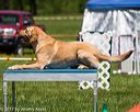 20170520-neat-1095