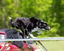 20170520-neat-1158