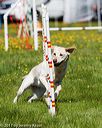 20170520-neat-0462